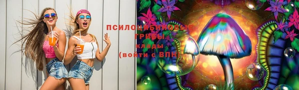 метамфетамин Богданович