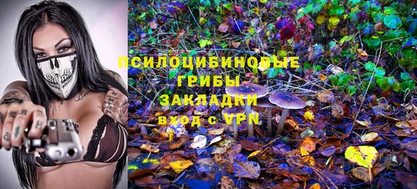 прущая мука Богородск