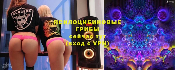 прущая мука Богородск